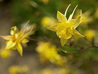 前B社开发者对《上古卷轴6》持怀疑态度：恐难达到预期